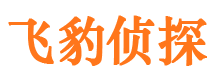 龙亭市调查公司